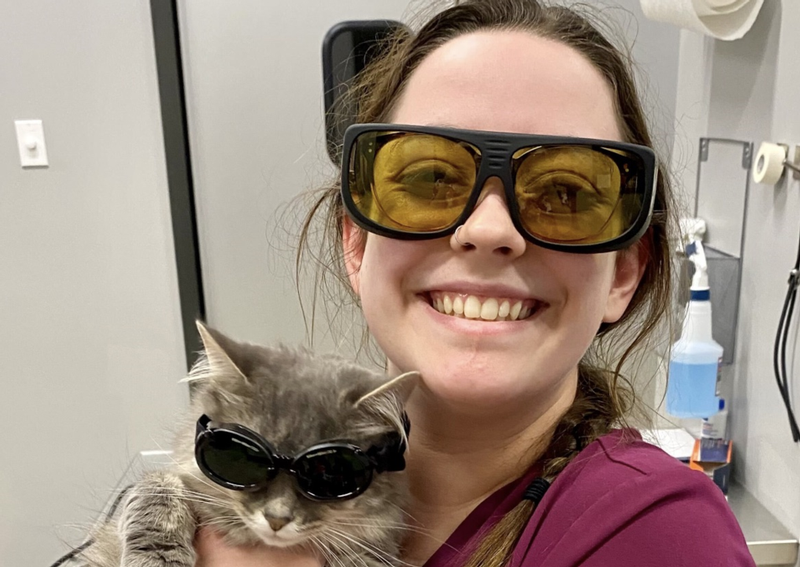 Richmond Veterinary Clinic Richmond veterinarians